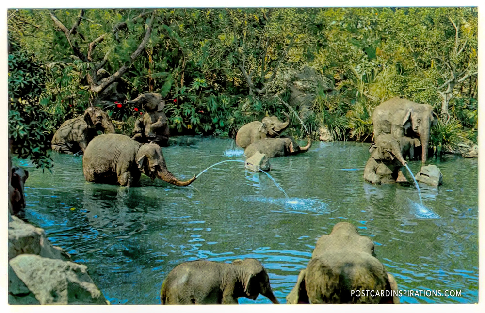 Elephant Bathing Pool in Adventureland (Postcard)... Play for Indian elephants, at home in their own in chanted bathing pool, have a truck full of watery surprises for guests on a cruise down the rivers of adventure Inn Disneyland.