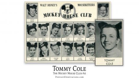 Tommy Cole: The Mickey Mouse Club #15