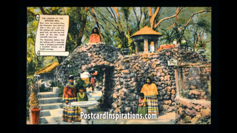 A Postcard from Tropical Hobbyland – Miami, Florida