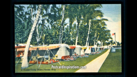 A Postcard from the Municipal Trailer Park – Tampa, Florida